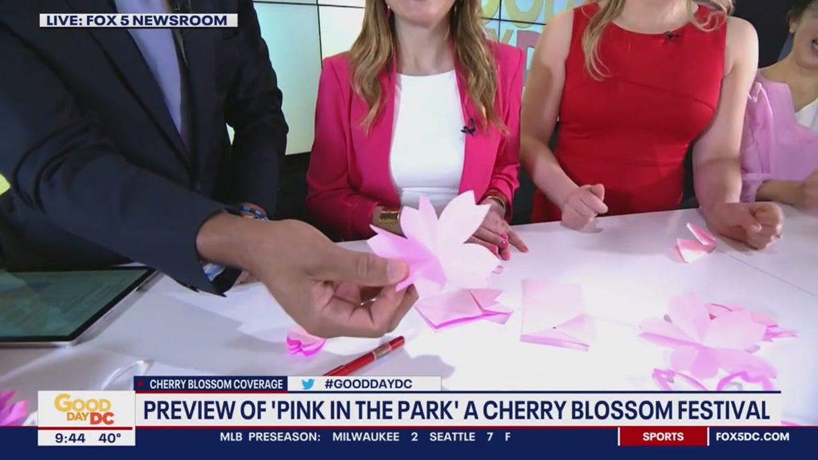 Creating origami cherry blossoms with Pink in the Park leaders